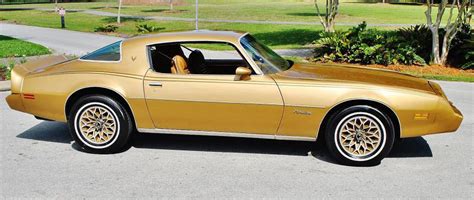 firebird tsrip|TRIM() .